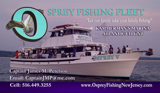 Osprey Fishing New Jersey